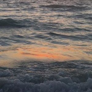 Meet your Posher, Sean